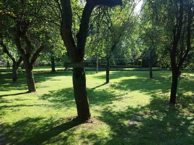 Kamp Na Otoku - Ljubno Ob Savinji Hotel Luaran gambar