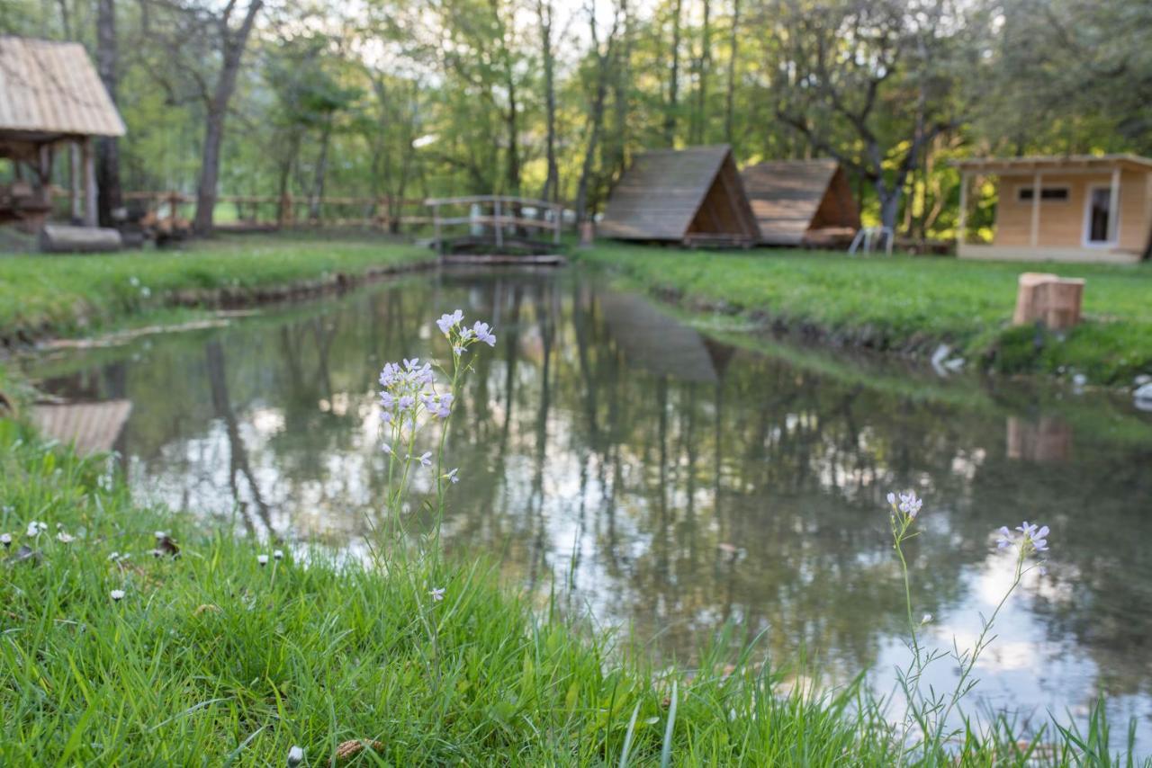 Kamp Na Otoku - Ljubno Ob Savinji Hotel Luaran gambar
